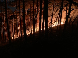 2021 04 01   Waldbrand 2