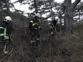 2021 04 01  Waldbrand Anninger