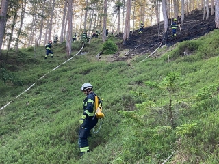 2021 07 10   WaldbrandGutenstein 3