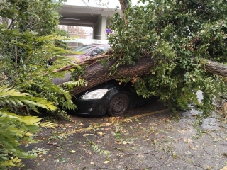 2024 09 14 17 Unwetter 61