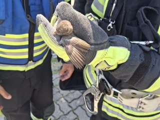 2025 05 14 Tierrettung 01