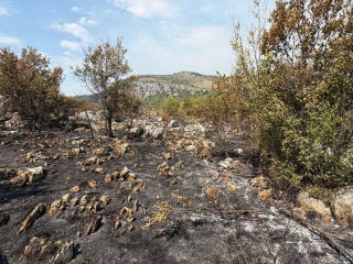 2025 08 Sonderdienst Montenegro 10
