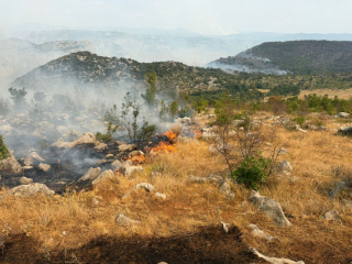 2025 08 Sonderdienst Montenegro 15