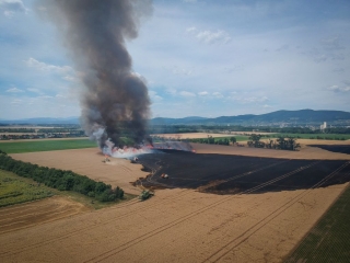 BrandGetreidefeld 2018 07 04 1 10