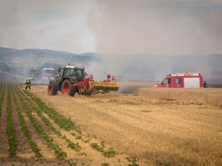 BrandGetreidefeld 2018 07 04 1 4