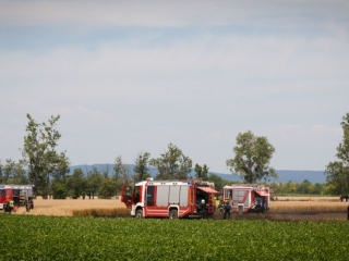 BrandGetreidefeld 2018 07 04 1 6