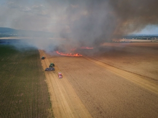 BrandGetreidefeld 2018 07 04 1 8