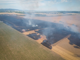 BrandGetreidefeld 2018 07 04 1 9