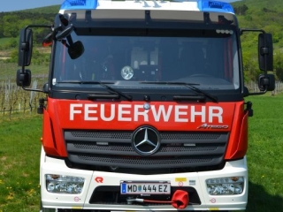 HLFA3 1