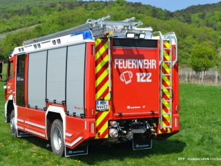 HLFA3 19