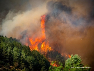 Waldbrand Nordmarzedonien 2
