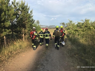 Waldbrand 1