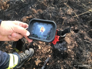 Waldbrand 2