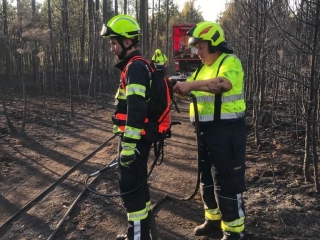 Waldbrand 3