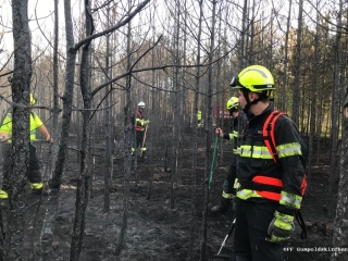 Waldbrand 4