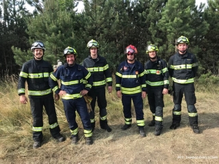 Waldbrand 5